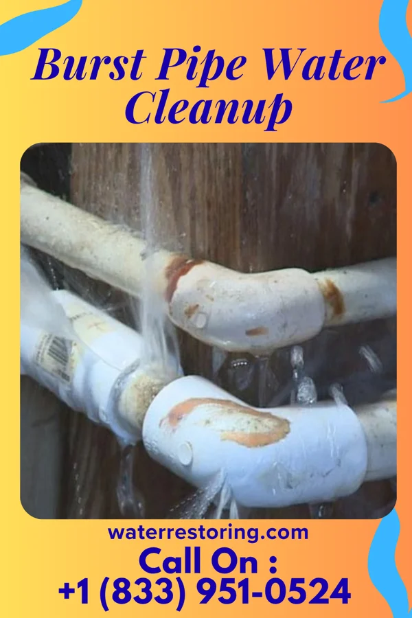 Burst Pipe Water Cleanup in Pantops, VA
