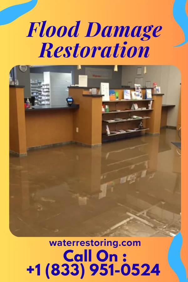 Flood Damage Restoration in Pantops, VA