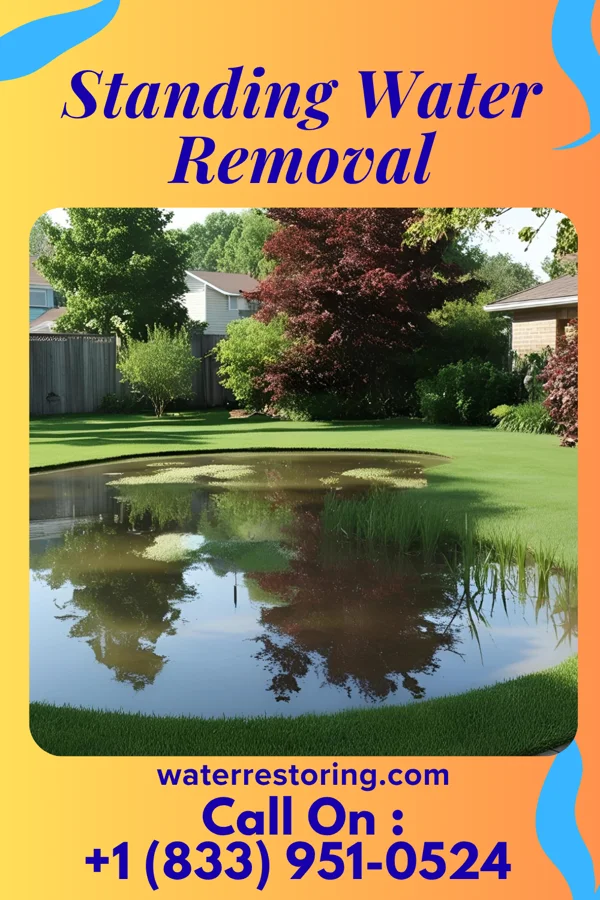 Standing Water Removal in Pantops, VA